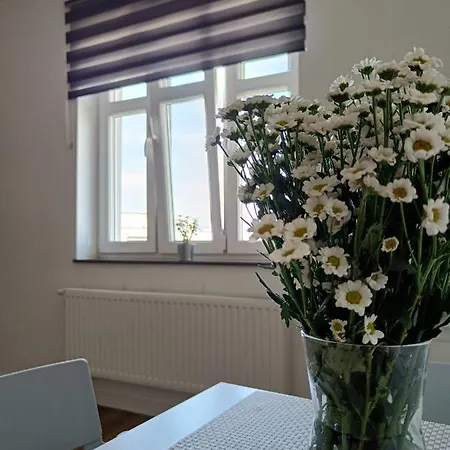 Blues Хостел Гдыня